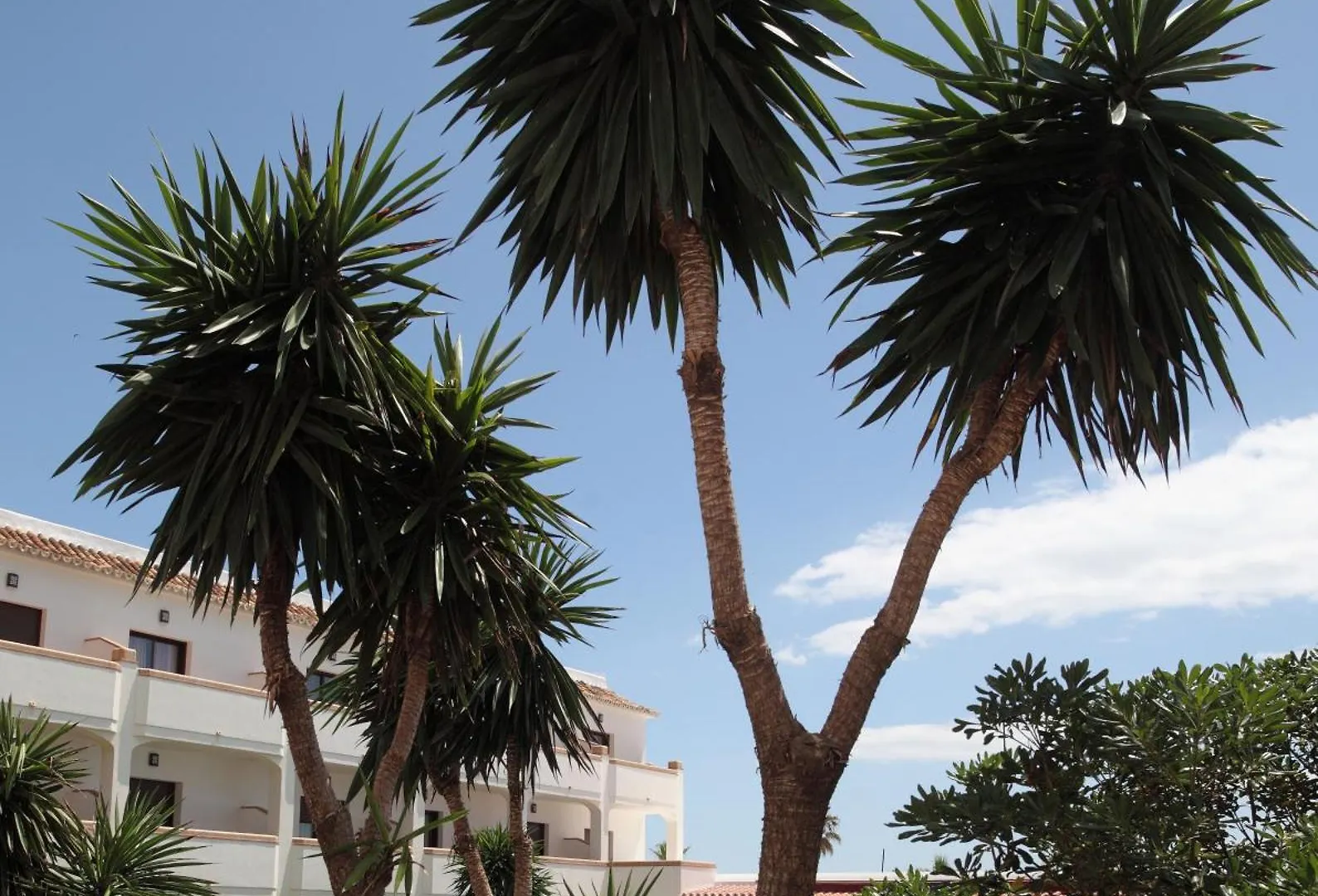Hotel Tarik Torremolinos
